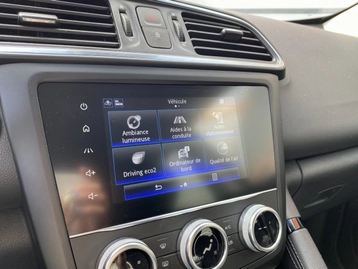 Image véhicule  Renault KADJAR (19)
