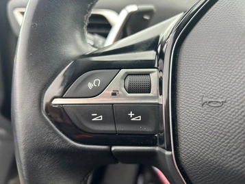 Image véhicule  Peugeot 3008 (22)