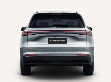 Image véhicule  GEELY STARRAY (2)