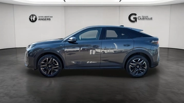 Image véhicule  Peugeot 3008 (1)