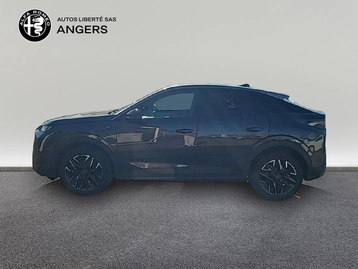 Image véhicule  Peugeot 3008 (4)