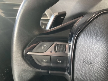 Image véhicule  Peugeot 3008 (16)