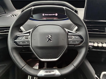 Image véhicule  Peugeot 3008 (23)