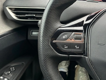 Image véhicule  Peugeot 3008 (24)