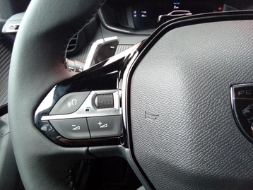 Image véhicule  Peugeot 2008 (18)