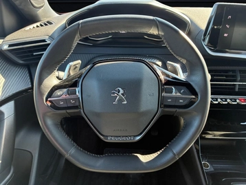 Image véhicule  Peugeot 2008 (23)