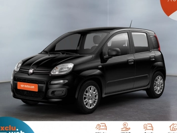 Image véhicule  Fiat PANDINA (5)