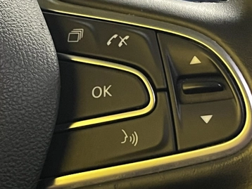 Image véhicule  Renault SCENIC (10)