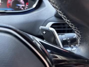 Image véhicule  Peugeot 3008 (14)