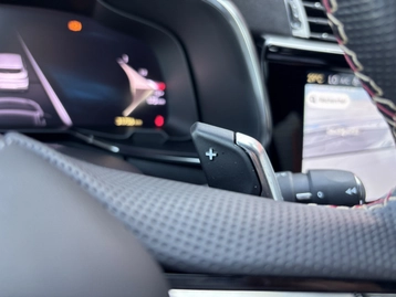 Image véhicule  DS DS7 CROSSBACK (15)