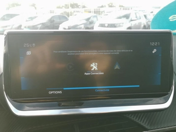 Image véhicule  Peugeot 2008 (11)