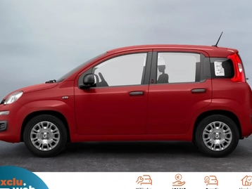 Image véhicule  Fiat PANDINA (7)