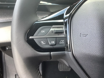 Image véhicule  Peugeot 308 (22)