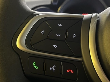 Image véhicule  Fiat 500 (11)