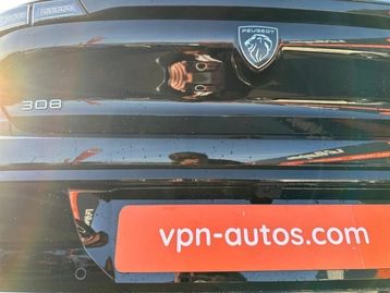 Image véhicule  Peugeot 308 (19)