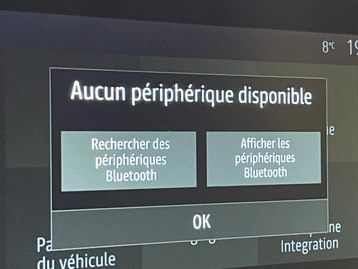 Image véhicule  Dacia JOGGER (24)
