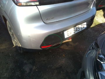 Image véhicule  Peugeot 208 (19)
