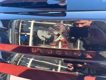 Image véhicule  Peugeot 3008 (18)