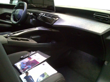 Image véhicule  Peugeot 3008 (22)