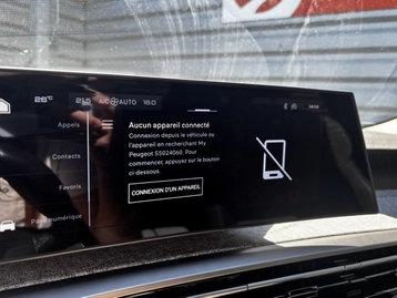 Image véhicule  Peugeot 3008 (3) (19)