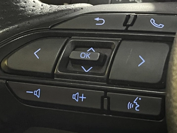 Image véhicule  Toyota YARIS CROSS (29)