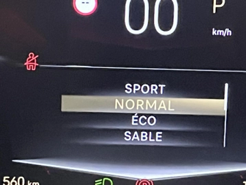 Image véhicule  DS DS3 CROSSBACK (14)