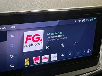 Image véhicule  Peugeot 208 (18)