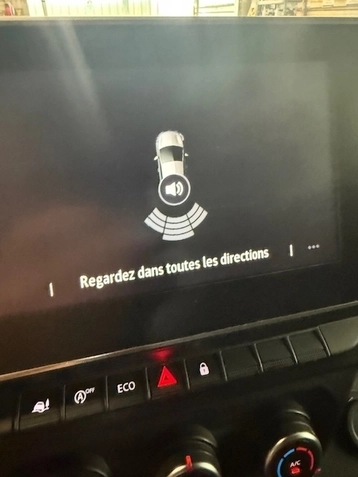 Image véhicule  Renault TRAFIC COMBI (11)