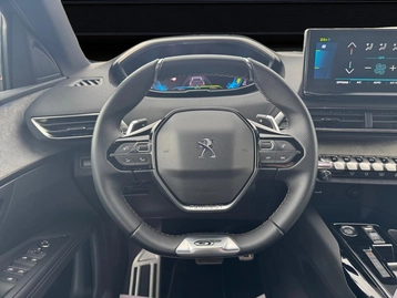 Image véhicule  Peugeot 3008 (14)