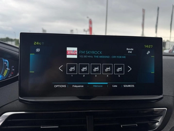 Image véhicule  Peugeot 3008 (21)