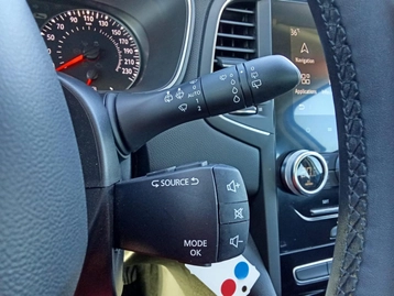 Image véhicule  Renault MEGANE (24)