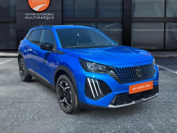 Image véhicule  Peugeot 2008 (1)