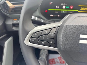 Image véhicule  Dacia BIGSTER (24)