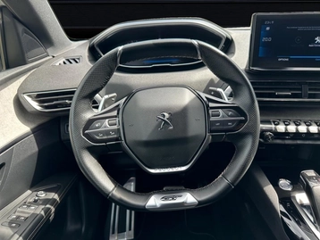 Image véhicule  Peugeot 3008 (11)