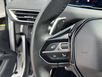 Image véhicule  Peugeot 3008 (32)