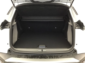 Image véhicule  Peugeot 2008 (26)