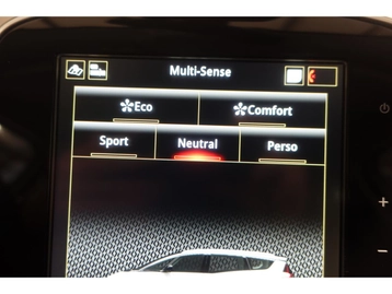 Image véhicule  Renault SCENIC (42)