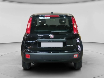 Image véhicule  Fiat PANDINA (9)