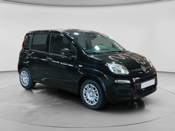 Image véhicule  Fiat PANDINA (3)