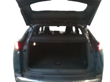 Image véhicule  Peugeot 3008 (6)