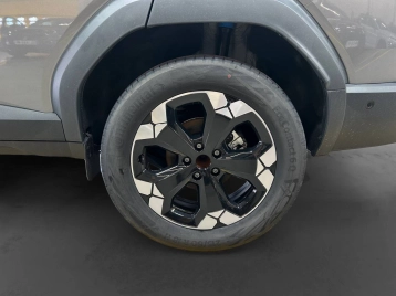 Image véhicule  Dacia BIGSTER (13)