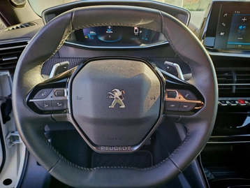 Image véhicule  Peugeot 2008 (11)