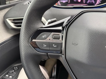 Image véhicule  Peugeot 3008 (23)