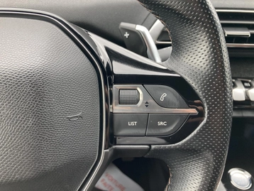 Image véhicule  Peugeot 3008 (21)