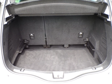 Image véhicule  Renault SCENIC IV (17)