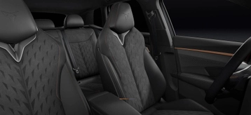 Image véhicule  Cupra TERRAMAR (2)