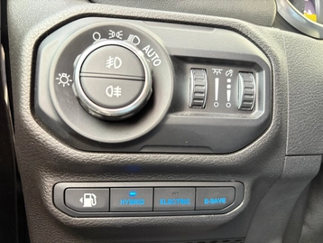 Image véhicule  Jeep WRANGLER (22)