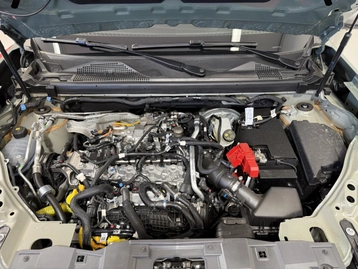 Image véhicule  Dacia DUSTER (49)