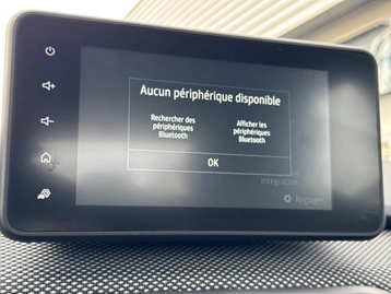 Image véhicule  Dacia SANDERO (38)