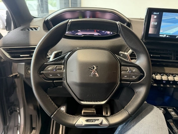 Image véhicule  Peugeot 3008 (17)
